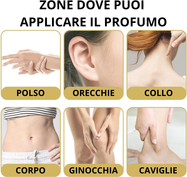 POLSO.png POLSO.png